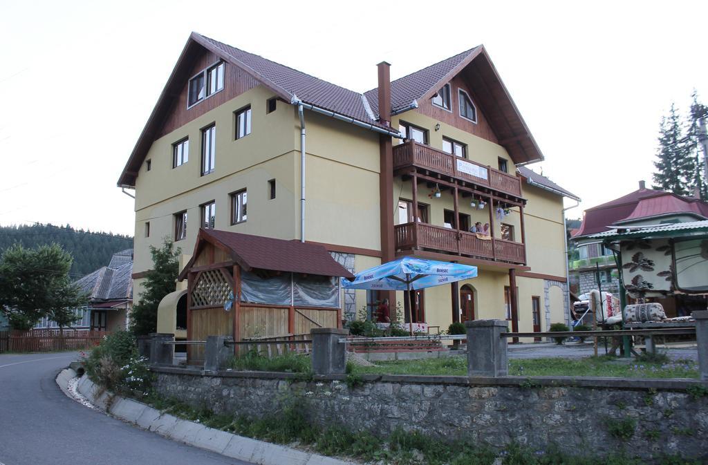Pensiunea Floare De Colt Борсек Екстериор снимка